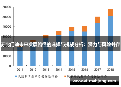 苏比门迪未来发展路径的选择与挑战分析：潜力与风险并存